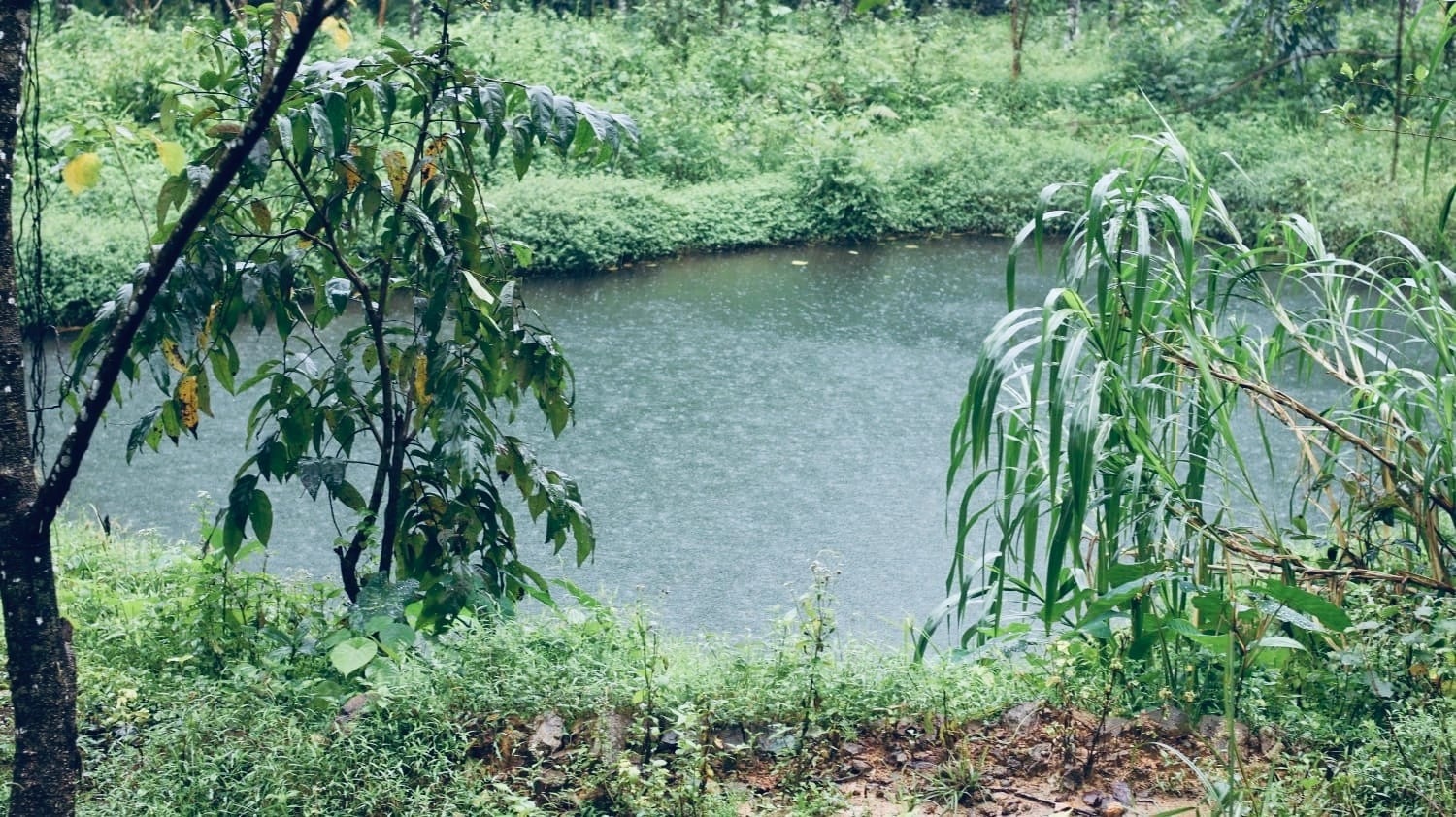 Beautiful mountain views surrounding our Vagamon homestay