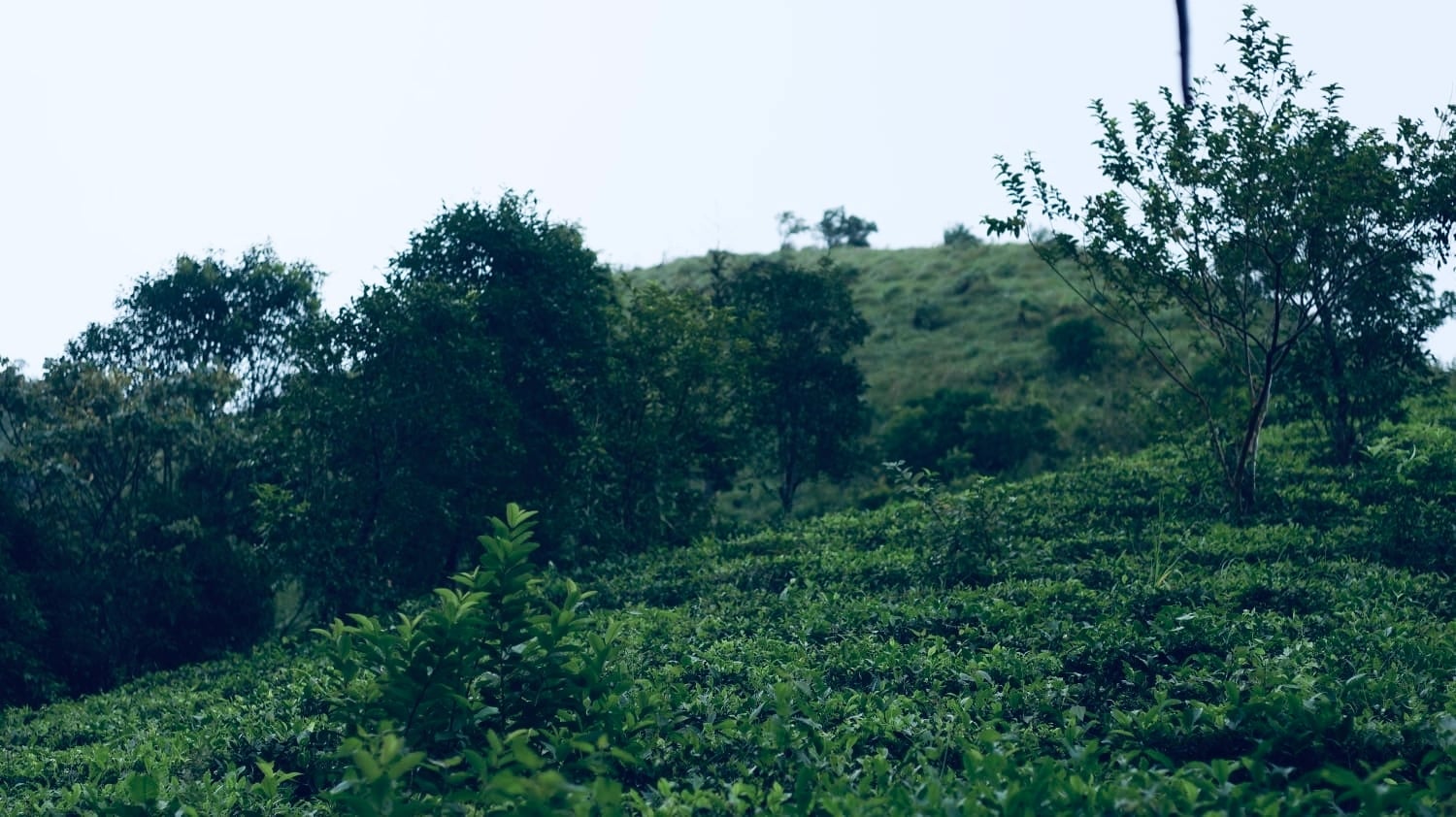 Scenic countryside views from our homestay