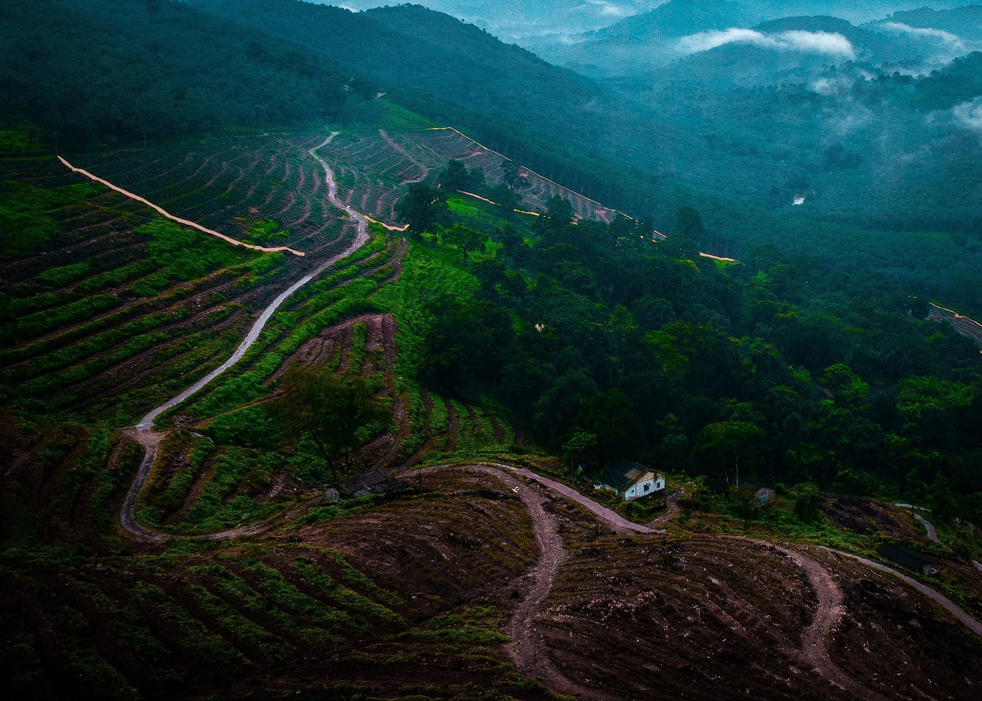 Farm Life