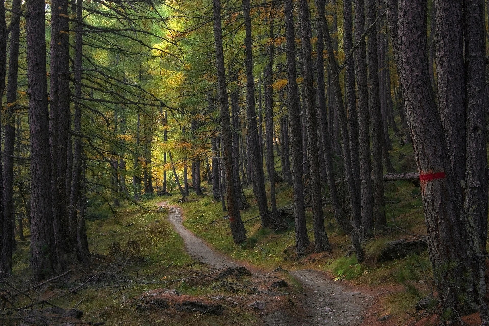 Nature trails and cultural walks