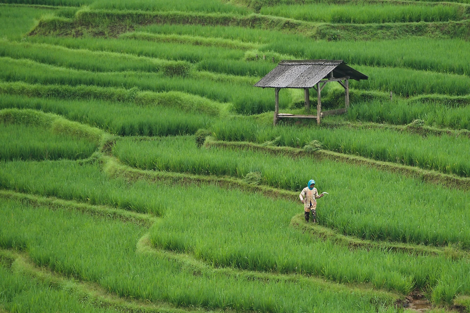 Sustainable Agriculture